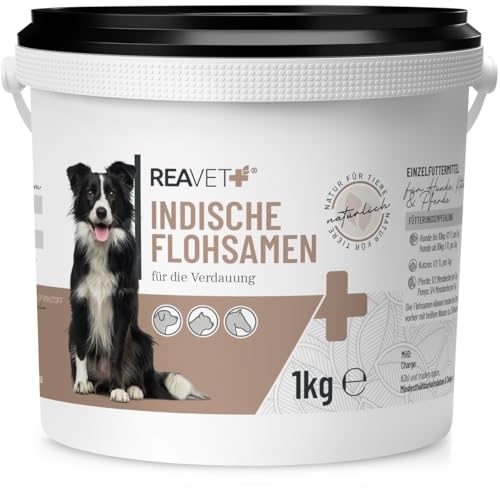 ReaVET Indische Flohsamen für Hunde, Katzen, Pferde 1kg – Naturrein in Premium Qualität – reich an Ballaststoffen + Schleimstoffen I Flohsamen für Verdauung I Ohne Zusätze von ReaVET