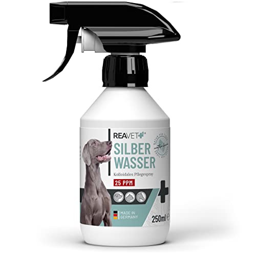 ReaVET Kolloidales Silberspray Hund 250ml - Wundspray für Tiere, Silberwasser Hund, Katze, Pferd, Aluminium Silver Spray, Sprühpflaster, Spray Wundversorgung Desinfektion von ReaVET