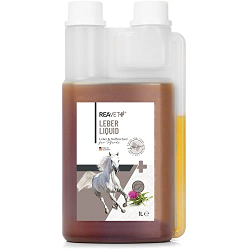 ReaVET Leber Liquid für Pferde 1L - 100% naturbelassenen Kräutermischung, zur Optimierung der Leberfunktion, mit Bitter- & Gerbstoffen zur Entgiftung, Leber Pferd Kräuter von ReaVET
