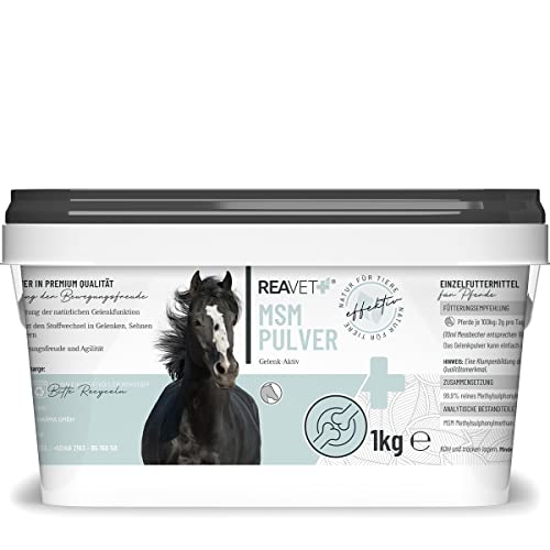 ReaVET MSM Pulver 1kg - MSM für Pferde, Organischer Schwefel, rein & hochdosiert I Gelenk Pulver für Pferde, Methylsulfonylmethan für Tiere bei Gelenkproblemen von ReaVET