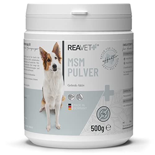 ReaVET MSM Pulver für Hunde 500g - MSM Hund, Gelenkpulver für Sehnen, Bänder & Knorpel, Gelenke Pulver Methylsulfonylmethan, Natürlicher Gelenkschutz, Förderung der Bewegungsfreude von ReaVET