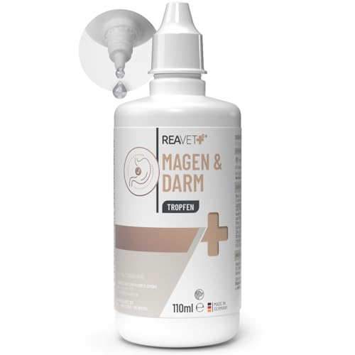 ReaVET Magen & Darm Tropfen für Hunde 110ml I Darmsanierung Hund I Liquid unterstützt die Darmflora & natürliche Darmregulierung - sekundierend bei Durchfall oder Blähungen ReaVET Magen & Darm Tropfen für Hunde 110ml I Darmsanierung Hund I Liquid unterstützt die Darmflora & natürliche Darmregulierung - sekundierend bei Durchfall oder Blähungen von ReaVET