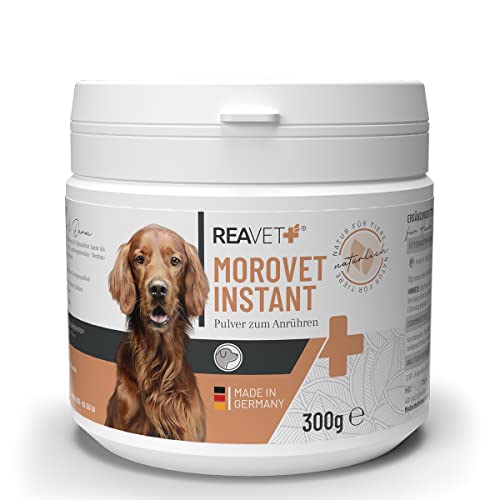 ReaVET MoroVet Instant 300g bei Durchfall Hund, Natürliches Durchfallmittel für Hunde, Morosche Karottensuppe Hund ohne Kochen, Probiotika Pulver Schonkost von ReaVET