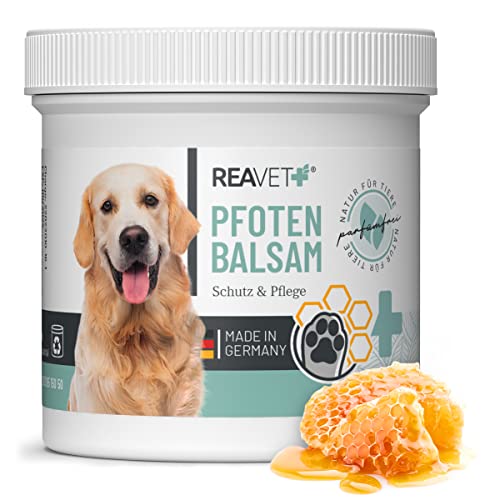 ReaVET Pfotenbalsam Hund 120ml für weiche Hundepfoten - Natürliche Hunde Pflege mit Sheabutter, Kokosöl & Bienenwachs, Pfotenpflege Katze, Pfotenschutz Creme, Zubehör Winter & Sommer ReaVET Pfotenbalsam Hund 120ml für weiche Hundepfoten - Natürliche Hunde Pflege mit Sheabutter, Kokosöl & Bienenwachs, Pfotenpflege Katze, Pfotenschutz Creme, Zubehör Winter & Sommer von ReaVET
