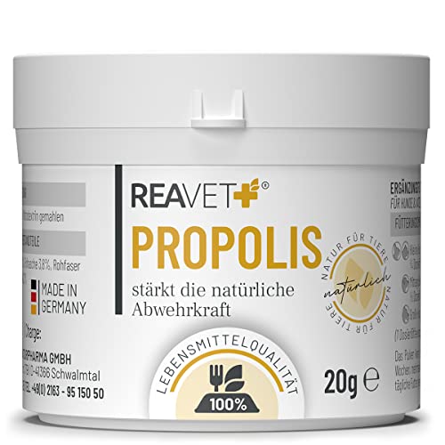 ReaVET Propolis Pulver für Hunde & Katzen 20g – in Lebensmittelqualität, Natürliche Unterstützung Immunsystem & Vitale Haut durch Kraft der Natur, Hochwertiges Propolispulver stärkt die Abwehrkraft ReaVET Propolis Pulver für Hunde & Katzen 20g – in Lebensmittelqualität, Natürliche Unterstützung Immunsystem & Vitale Haut durch Kraft der Natur, Hochwertiges Propolispulver stärkt die Abwehrkraft von ReaVET