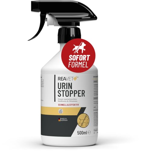 ReaVET Urin Stop für Hunde & Katzen 500ml I Mildes Hundeabwehrspray & Katzenabwehrspray I Nicht färbend I Urin Entferner I Hundeschreck gegen Markieren I Anti Kratz Spray Möbel, Innen- & Außen von ReaVET