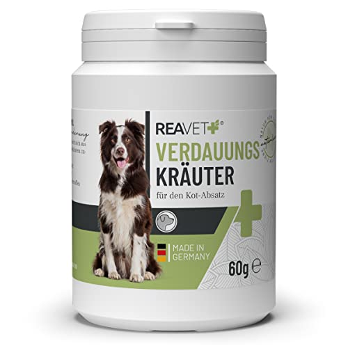 ReaVET Verdauungskräuter für Hunde 60g – Hochwertige Naturkräuter Mix, Unterstützt Verdauung, Darm, Immunsystem, Kräuter für Hunde, Barf Zusatz als Naturprodukt von ReaVET