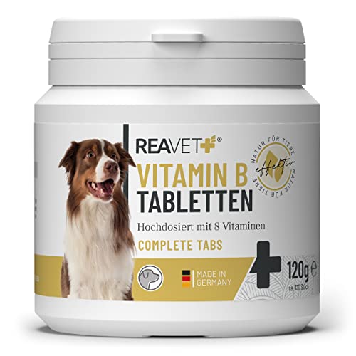 ReaVET Vitamin B Komplex Hund 120 Tabletten für bis zu 4 Monate –Vitamin B hochdosiert für Hunde mit Vitamin B1, B2, B3, B5, B6, B9, B12, Vitamin K, L-Tryptophan, Selen, Folsäure von ReaVET