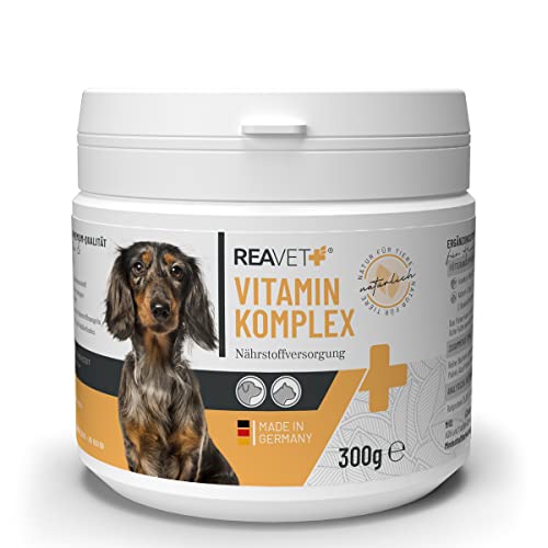 ReaVET Vitamine für Hunde, Vitamin Komplex Pulver I Über 20 wertvolle, rein natürliche Vitamine & Mineralien I bei Vitaminmangel, Multivitamin Pulver Hund 300g von ReaVET