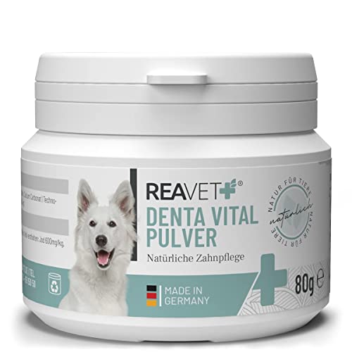 ReaVET Denta Vital Zahnpflege Pulver Hund & Katzen 80g - Zahnsteinentferner, Mittel gegen Zahnstein Hund Katze I Gegen Mundgeruch bei Hunden, Zahnpflege Katzen von ReaVET