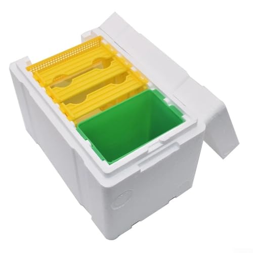 Queen Bee Zuchtbox, Mini Paarungsbox Bienenstock Tragbares Bienenzucht-Erntewerkzeug, Natürliches Bienenhaus Profi für Imker Queen Bee Zuchtbox, Mini Paarungsbox Bienenstock Tragbares Bienenzucht-Erntewerkzeug, Natürliches Bienenhaus Profi für Imker von ReachMall