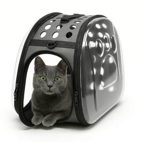 Rebeca Shop Transparente Transportbox für Hund und Katze, leicht, atmungsaktiv, tragbare Transporttasche für Haustiere, mittlere Größe, Reisen im Zug, Flugzeug, Schwarz, 37 x 20 x 22 cm (37 x 20 x 22 Rebeca Shop Transparente Transportbox für Hund und Katze, leicht, atmungsaktiv, tragbare Transporttasche für Haustiere, mittlere Größe, Reisen im Zug, Flugzeug, Schwarz, 37 x 20 x 22 cm (37 x 20 x 22 von Rebeca Shop