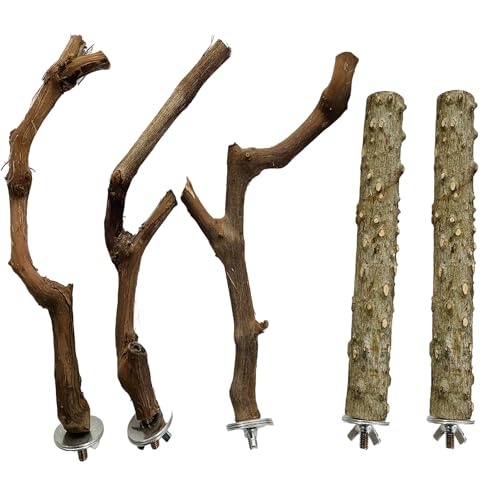 Naturholz Vogelstange Ständer Set, 5 Stück, 3 Sitzstangen aus Traubenholz, 2 Ständer, Pfotenschleifzweige für Sittiche, Aras, Conures von Rebecca online
