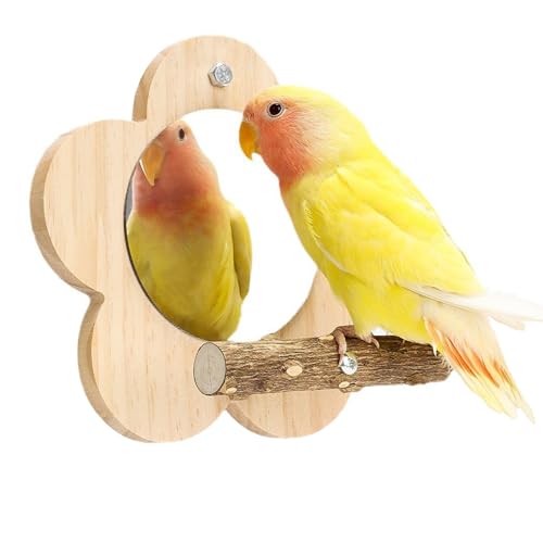 Papageien-Sitzstange mit Spiegel und Kauspielzeug, natürliches Holz, für Nymphensittiche, Sittiche, Sittiche, Lovebirds Käfig, Kletterleiter, Schnabelschleifen, Aktivitätszentrum Papageien-Sitzstange mit Spiegel und Kauspielzeug, natürliches Holz, für Nymphensittiche, Sittiche, Sittiche, Lovebirds Käfig, Kletterleiter, Schnabelschleifen, Aktivitätszentrum von Rebecca online