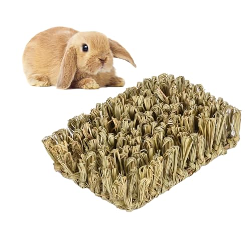 Rebecca online Handgewebtes Timothy Heuhasenbett - 100% essbares & natürliches kaubares Haustiernest für Kaninchen, Meerschweinchen, Hamster - Sicher, Bio Rebecca online Handgewebtes Timothy Heuhasenbett - 100% essbares & natürliches kaubares Haustiernest für Kaninchen, Meerschweinchen, Hamster - Sicher, Bio von Rebecca online