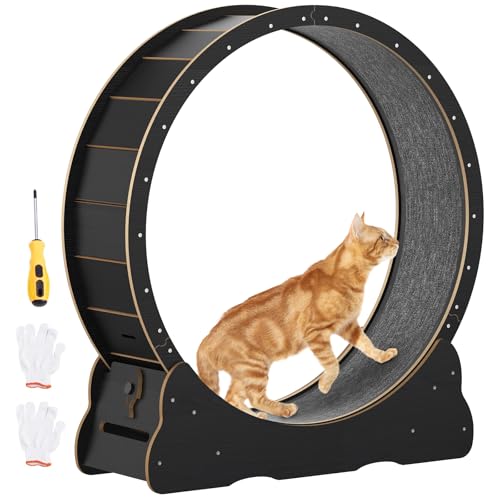 Katzenlaufrad für Indoor-Katzen, 100cm großes Katzenlaufband mit abnehmbarem Teppich & Schloss, Laufrad aus Holz, Katzenrad für Gewichtverlust & Gesundheit, Sportspielzeug für Katzen (Schwarz, 91cm) Katzenlaufrad für Indoor-Katzen, 100cm großes Katzenlaufband mit abnehmbarem Teppich & Schloss, Laufrad aus Holz, Katzenrad für Gewichtverlust & Gesundheit, Sportspielzeug für Katzen (Schwarz, 91cm) von Rebongki