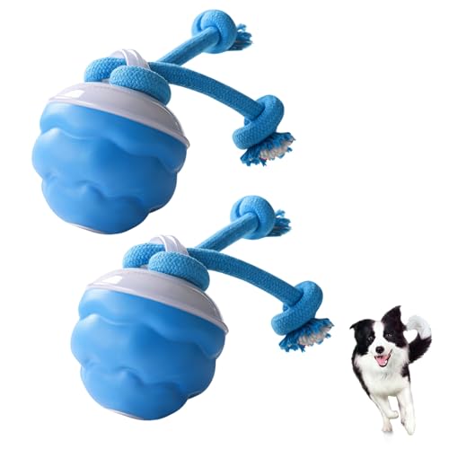 Interaktives Hundespielzeug mit Bewegungsaktivierung | hunde beschäftigung | Hunde Spielzeug | Intelligente Spielball für Hunde sorgt für Beschäftigung großen/mittelgroßen/kleinen Welpen (2 Stück) von Recitem