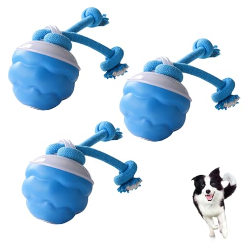 Interaktives Hundespielzeug mit Bewegungsaktivierung | hunde beschäftigung | Hunde Spielzeug | Intelligente Spielball für Hunde sorgt für Beschäftigung großen/mittelgroßen/kleinen Welpen (3 Stück) von Recitem