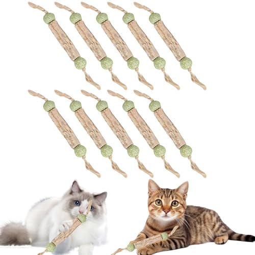 Katzenminze Sticks, Zahnpflege Katzen, Katzenspielzeug, Katzenminze Spielzeug Katzen Kauhölzer Sticks für Katzen Zahnpflege & Gegen Mundgeruch Natürlich Sicher Katzensticks Kausticks Set (10 Stück) Katzenminze Sticks, Zahnpflege Katzen, Katzenspielzeug, Katzenminze Spielzeug Katzen Kauhölzer Sticks für Katzen Zahnpflege & Gegen Mundgeruch Natürlich Sicher Katzensticks Kausticks Set (10 Stück) von Recitem