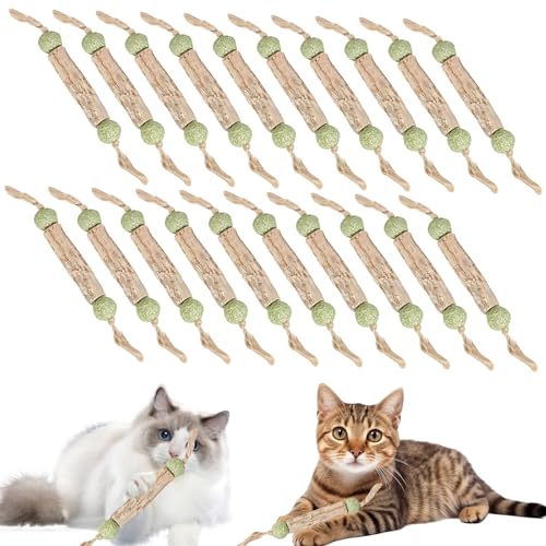 Katzenminze Sticks, Zahnpflege Katzen, Katzenspielzeug, Katzenminze Spielzeug Katzen Kauhölzer Sticks für Katzen Zahnpflege & Gegen Mundgeruch Natürlich Sicher Katzensticks Kausticks Set (20 Stück) Katzenminze Sticks, Zahnpflege Katzen, Katzenspielzeug, Katzenminze Spielzeug Katzen Kauhölzer Sticks für Katzen Zahnpflege & Gegen Mundgeruch Natürlich Sicher Katzensticks Kausticks Set (20 Stück) von Recitem