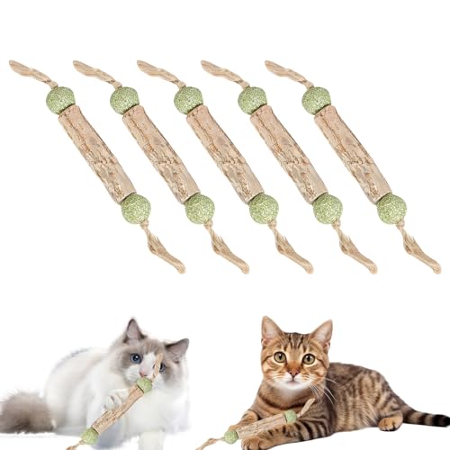 Katzenminze Sticks, Zahnpflege Katzen, Katzenspielzeug, Katzenminze Spielzeug Katzen Kauhölzer Sticks für Katzen Zahnpflege & Gegen Mundgeruch Natürlich Sicher Katzensticks Kausticks Set (6 Stück) von Recitem