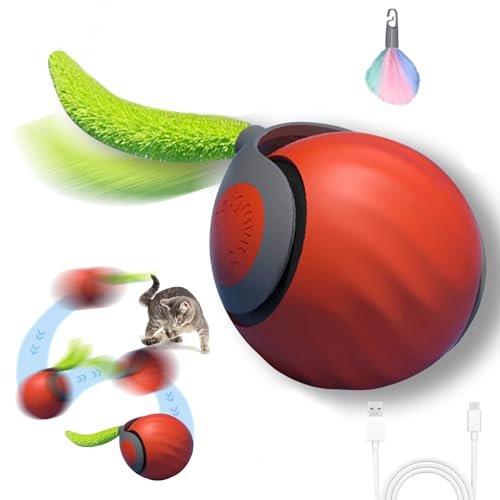 Recitem Katzenspielzeug, Katzenspielzeug Selbstbeschäftigung, Intelligentes Interaktives Katzenspielzeug, Elektrisches Katzenspielzeug Ball, USB Wiederaufladbar, Katzenball Elektrisch (Orange) von Recitem