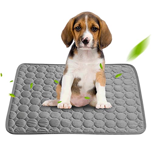 Recitem Kühlmatte für Hund Katze, 40cm * 30cm Hundekühlmatte Hunde, Selbstkühlend Haustiermatte Waschbar Kühlpad Kühlkissen rutschfeste Komfortabel Kühlbett für Sofa, Kiste, Käfig, Nest, Auto (Grau) Recitem Kühlmatte für Hund Katze, 40cm * 30cm Hundekühlmatte Hunde, Selbstkühlend Haustiermatte Waschbar Kühlpad Kühlkissen rutschfeste Komfortabel Kühlbett für Sofa, Kiste, Käfig, Nest, Auto (Grau) von Recitem