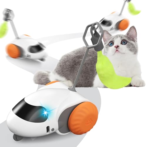 Smartyflip Katzenspielzeug, 2-Geschwindigkeiten leise Design Katzenspielzeug Selbstbeschäftigung, Interaktives Katzenspielzeug, Spielzeug Katze, Katzenspielzeug Elektrisch USB Aufladbar (Orange Farbe) Smartyflip Katzenspielzeug, 2-Geschwindigkeiten leise Design Katzenspielzeug Selbstbeschäftigung, Interaktives Katzenspielzeug, Spielzeug Katze, Katzenspielzeug Elektrisch USB Aufladbar (Orange Farbe) von Recitem