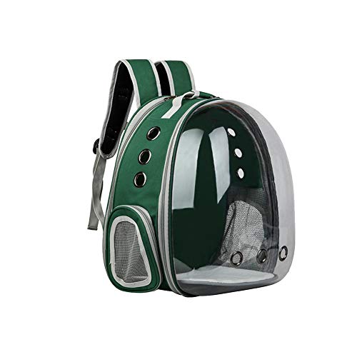 Transportbox Katze – Faltbare Katzentransportbox mit verstellbarem Schultergurt, ideal für Katzen und kleine Hunde, Katzentasche für sicheren Transport und bequemes Reisen (Grün) von Recitem