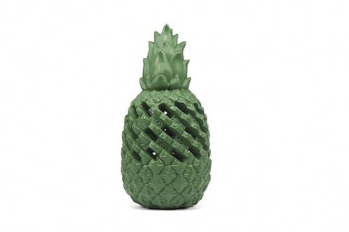 Record Ananas Power Hundespielzeug aus Naturkautschuk mit Flasche aus recyceltem Kunststoff im Inneren, sehr robust von Record