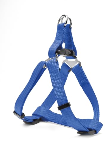 Record Hundegeschirr Rapido Blue Nylon. Perfekte Kontrolle und Bequemlichkeit für Ihren Hund | Blau, XL - Umfang 53-81 cm Record Hundegeschirr Rapido Blue Nylon. Perfekte Kontrolle und Bequemlichkeit für Ihren Hund | Blau, XL - Umfang 53-81 cm von Record
