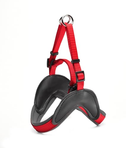 Record Dog Harness Easy aus gepolstertem Nylon mit Neoprenfutter, bequem und verstellbar | Farbe Rot, Größe - XS, Umfang 35-45 cm Record Dog Harness Easy aus gepolstertem Nylon mit Neoprenfutter, bequem und verstellbar | Farbe Rot, Größe - XS, Umfang 35-45 cm von Record