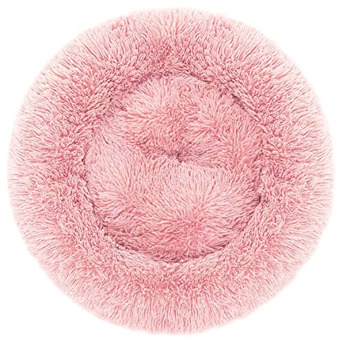 Record Haustierbett Batuffolo für Hunde und Katzen. Rundes Kissen mit Rutschfester, wasserdichter und waschbarer Basis | Farbe Rosa, Größe 50 x 25 cm Record Haustierbett Batuffolo für Hunde und Katzen. Rundes Kissen mit Rutschfester, wasserdichter und waschbarer Basis | Farbe Rosa, Größe 50 x 25 cm von Record