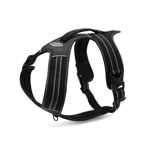 Record Hundegeschirr Action Alpi aus geflochtenem Nylon mit 3M ScotchLite-Reflektorbandern | Farbe Schwarz, Größe XL, Umfang 90-125 cm Record Hundegeschirr Action Alpi aus geflochtenem Nylon mit 3M ScotchLite-Reflektorbandern | Farbe Schwarz, Größe XL, Umfang 90-125 cm von Record