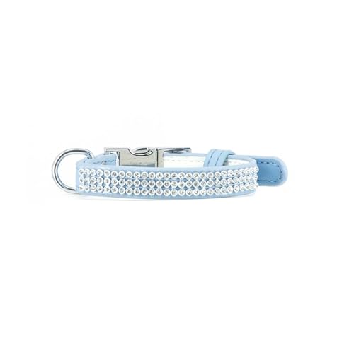 Record Halsband Paris für Hunde und Katzen aus weichem Kunstleder mit Strasssteinen | Farbe Hellblau, Größe XS - 1,5 cm, Umfang 28-38 cm Record Halsband Paris für Hunde und Katzen aus weichem Kunstleder mit Strasssteinen | Farbe Hellblau, Größe XS - 1,5 cm, Umfang 28-38 cm von Record