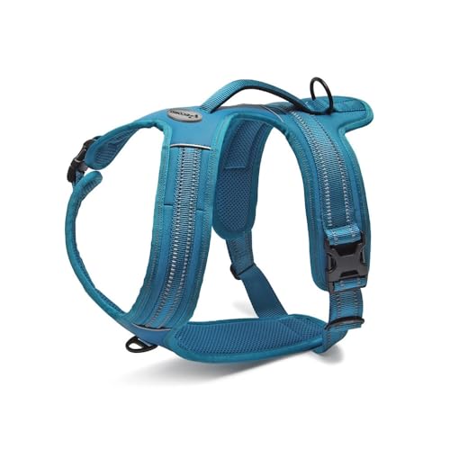 Record - Hundegeschirr Action Alpen - Farbe Blau - Größe XL - Material: Nylon geflochten mit reflektierenden 3M ScotchLite Bändern - Umfang 90-125 cm von Record