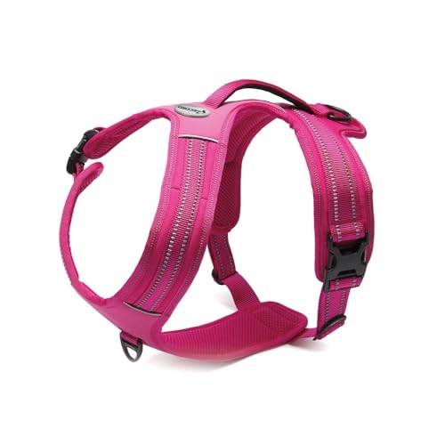 Record - Hundegeschirr Action Alpen - Farbe Fuchsia - Größe M - Material: Nylon geflochten mit reflektierenden Streifen 3M ScotchLite - Umfang 60-72 cm von Record