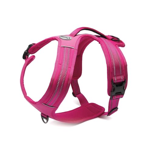 Record - Hundegeschirr Action Alpen - Farbe Fuchsia - Größe S - Material: Nylon geflochten mit reflektierenden 3M ScotchLite Bändern - Umfang 48-57 cm von Record