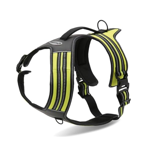 Record Geschirr Action Alpi Hundegeschirr aus gewebtem Nylon 3M ScotchLite Reflektierende Bänder | Farbe Gelb, Größe XS, Umfang 43-49 cm Record Geschirr Action Alpi Hundegeschirr aus gewebtem Nylon 3M ScotchLite Reflektierende Bänder | Farbe Gelb, Größe XS, Umfang 43-49 cm von Record