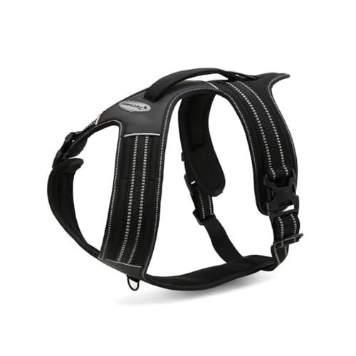 Record Hundegeschirr Action Alpi Geflochtenes Nylon mit 3M ScotchLite-Reflexbändern | Farbe Schwarz, Größe S, Umfang 48-57 cm Record Hundegeschirr Action Alpi Geflochtenes Nylon mit 3M ScotchLite-Reflexbändern | Farbe Schwarz, Größe S, Umfang 48-57 cm von Record