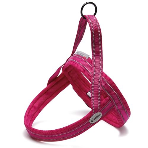 Record Hundegeschirr Dolomiti – Farbe Fuchsia – Größe M – Umfang 62 – 72 cm – Material: Nylon geflochten mit reflektierenden Bändern 3M ScotchLite Record Hundegeschirr Dolomiti – Farbe Fuchsia – Größe M – Umfang 62 – 72 cm – Material: Nylon geflochten mit reflektierenden Bändern 3M ScotchLite von Record
