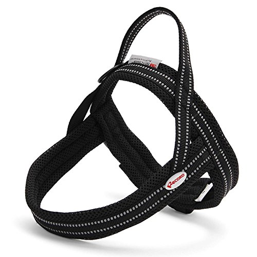 Record Hundegeschirr Dolomiti – Farbe Schwarz – Größe L – Umfang 70 – 82 cm – Material: Nylon geflochten mit reflektierenden 3M ScotchLite Bändern Record Hundegeschirr Dolomiti – Farbe Schwarz – Größe L – Umfang 70 – 82 cm – Material: Nylon geflochten mit reflektierenden 3M ScotchLite Bändern von Record