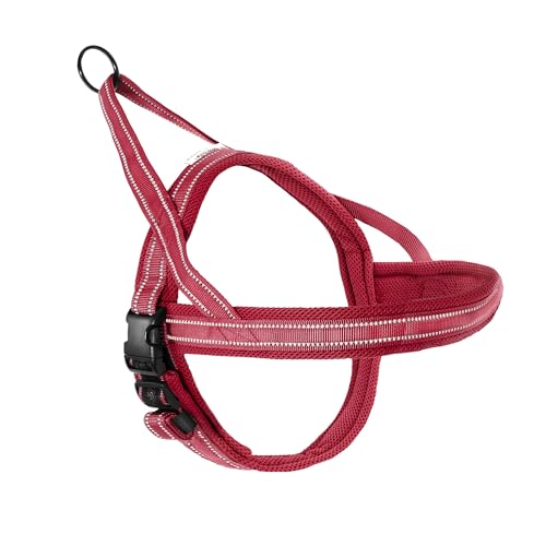 Record Hundegeschirr Dolomiti aus gewebtem Nylon Mit 3M ScotchLite Reflektierenden Bändern | Farbe Rot, Größe S, Umfang 54-64 cm Record Hundegeschirr Dolomiti aus gewebtem Nylon Mit 3M ScotchLite Reflektierenden Bändern | Farbe Rot, Größe S, Umfang 54-64 cm von Record