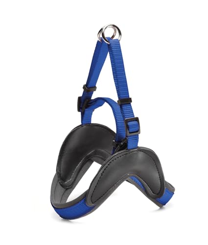Record Hundegeschirr Easy verstellbar aus gepolstertem Nylon mit Neopren Innenfutter.Ideal für den täglichen Gebrauch | Farbe Blau, Größe XS, Umfang 35-45 cm Record Hundegeschirr Easy verstellbar aus gepolstertem Nylon mit Neopren Innenfutter.Ideal für den täglichen Gebrauch | Farbe Blau, Größe XS, Umfang 35-45 cm von Record