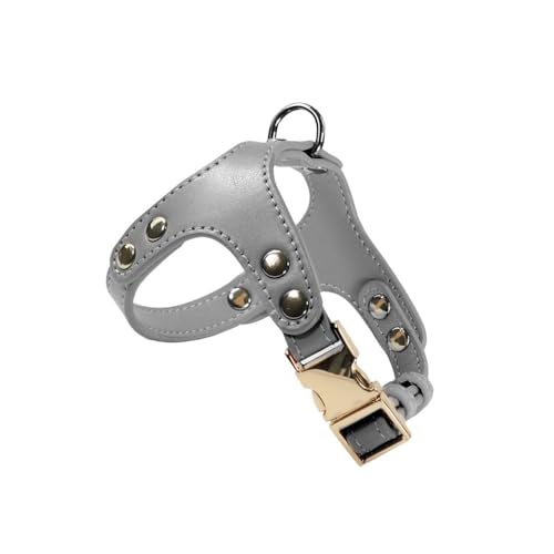Record Hundegeschirr London aus weichem Kunstleder. Praktischer Hakenring und Metallclip | Farbe Grau, Größe S, Umfang 44-53 cm Record Hundegeschirr London aus weichem Kunstleder. Praktischer Hakenring und Metallclip | Farbe Grau, Größe S, Umfang 44-53 cm von Record