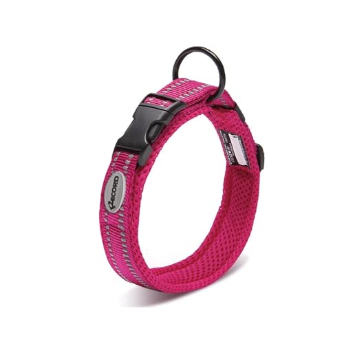 Record Hundehalsband Ande Für Hunde aus Widerstandsfähigem Nylon mit reflektierenden Details| Farbe - Fuchsia, Größe S, Umfang 35-40 cm Record Hundehalsband Ande Für Hunde aus Widerstandsfähigem Nylon mit reflektierenden Details| Farbe - Fuchsia, Größe S, Umfang 35-40 cm von Record