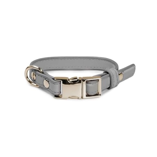 Record Hundehalsband London aus Kunstleder mit Metallschnalle und Metallhakenring | Farbe Grau, Größe S, Umfang 35-48 cm Record Hundehalsband London aus Kunstleder mit Metallschnalle und Metallhakenring | Farbe Grau, Größe S, Umfang 35-48 cm von Record