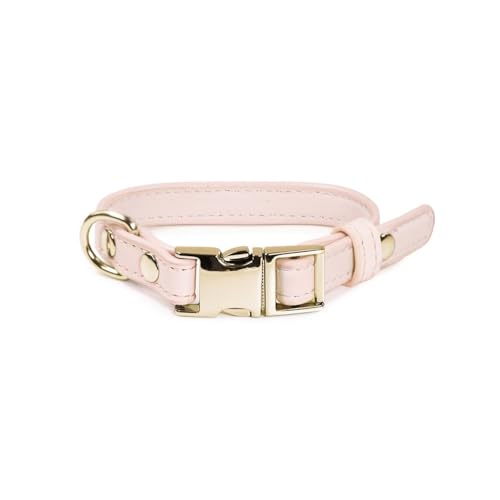 Record Hundehalsband London Aus Kunstleder mit Metallschnalle und Metallhakenring | Farbe Rosa, Größe - XS - 1,5 cm, Umfang 28-38 cm Record Hundehalsband London Aus Kunstleder mit Metallschnalle und Metallhakenring | Farbe Rosa, Größe - XS - 1,5 cm, Umfang 28-38 cm von Record