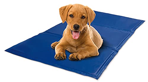 Record Kühlmatte fur Hunde und Katzen; Selbstkühlende, wasserdichte, Platzsparende Matte mit Ungiftigem Gel. Perfekt für Reisen und Zuhause | Farbe Blau, 80 x 90 cm Record Kühlmatte fur Hunde und Katzen; Selbstkühlende, wasserdichte, Platzsparende Matte mit Ungiftigem Gel. Perfekt für Reisen und Zuhause | Farbe Blau, 80 x 90 cm von Record