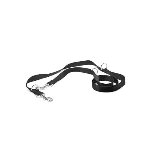 Record Trainingsleine Nylon mit Metall-Karabinerhaken, Sehr Widerstandsfähig | Farbe Schwarz, Größe L, Breite 2,3 cm, Länge 220 cm Record Trainingsleine Nylon mit Metall-Karabinerhaken, Sehr Widerstandsfähig | Farbe Schwarz, Größe L, Breite 2,3 cm, Länge 220 cm von Record